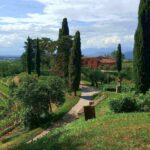 WORKSHOP – WEIN- UND GENUSSWOCHENENDE IM FRIAUL